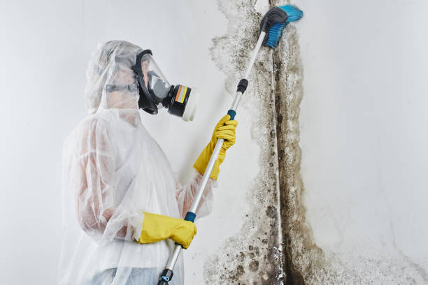 Water Damage Restoration in Clifton, TN